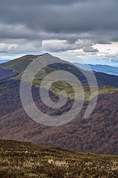 A beautiful panoramic mysterious view of the forest in the Bieszczady mountains Poland on a misty rainy spring May day, nature