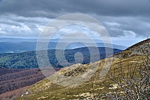 A beautiful panoramic mysterious view of the forest in the Bieszczady mountains Poland on a misty rainy spring May day, nature