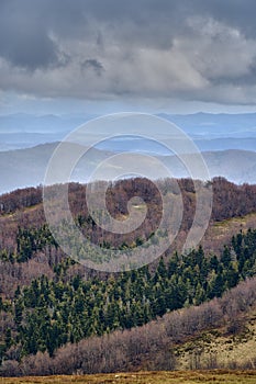A beautiful panoramic mysterious view of the forest in the Bieszczady mountains Poland on a misty rainy spring May day, nature