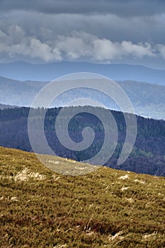 A beautiful panoramic mysterious view of the forest in the Bieszczady mountains Poland on a misty rainy spring May day, nature