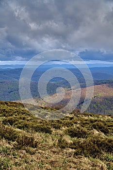 A beautiful panoramic mysterious view of the forest in the Bieszczady mountains Poland on a misty rainy spring May day, nature