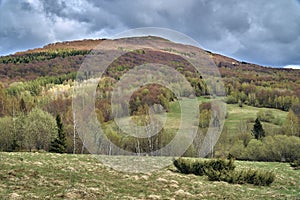 A beautiful panoramic mysterious view of the forest in the Bieszczady mountains Poland on a misty rainy spring May day, nature