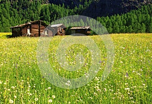 Beautiful panoramic postcard view of picturesque rural mountain scenery in the Alps with traditional old alpine mountain cottages