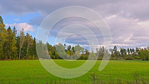 Beautiful panoramic view of autumn landscape with forest colorful trees and green field on background