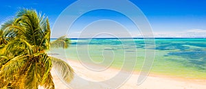 Beautiful panoramic view of coconut palm tree on a sandy tropical beach