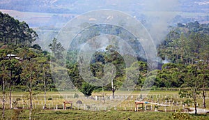 Beautiful panoramic view of farms and sugar cane fields burning in the mountains in Costa Rica with green jungle