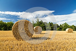 Beautiful panoramic view of a field with straw bales and a blue sky with clouds