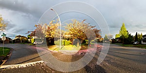 Beautiful Panoramic View of Homes in Residential Neighborhood