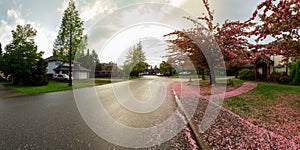 Beautiful Panoramic View of Homes in Residential Neighborhood