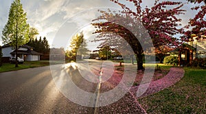 Beautiful Panoramic View of Homes in Residential Neighborhood