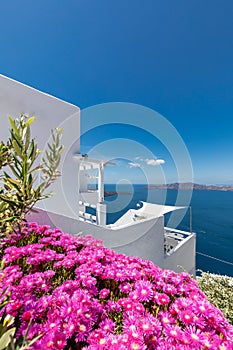 White architecture on Santorini island, Greece. Beautiful summer landscape, sea view, vivid flowers, luxury resort