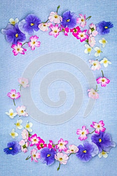 Beautiful pansies and roses on the farbic background photo