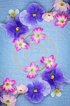 Beautiful pansies and roses on the farbic background photo