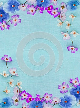 Beautiful pansies and roses on the farbic background