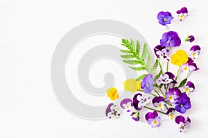 Beautiful pansy summer flowers flatlay on white photo