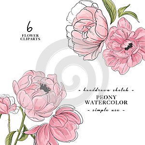 Beautiful paony 2 bouquet decoration. Flower power banner. Modern vector watercolor botanical art. Vintage spring, summer branch