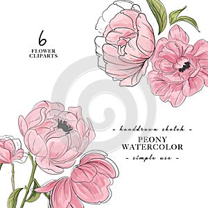 Beautiful paony 2 bouquet decoration. Flower power banner. Modern vector watercolor botanical art. Vintage spring, summer branch photo