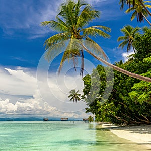 Beautiful Paradise Island -  landscape of tropical beach - calm ocean, palm trees, blue sky
