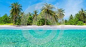 beautiful paradisiacal beach with big palm trees and crystal clear waters by day