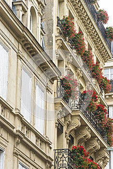 Beautiful parisian building decorated by red flowers