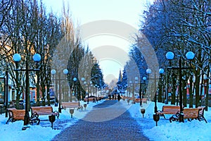 Beautiful park alley with bench and trees in winter sunny day