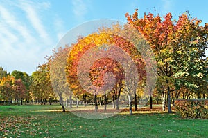 Beautiful park in autumn