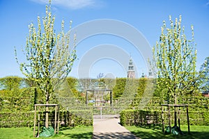 beautiful park with blossoming trees and green bushes and Rosenborg castle