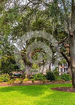 Beautiful park in downtown Savannah, Georgia, USA