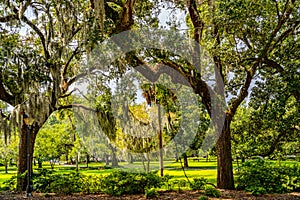 Beautiful park in downtown Savannah, Georgia, USA.