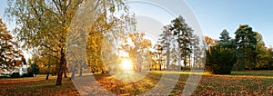 Beautiful park garden in atumn. Fall panorama in park at sunrise