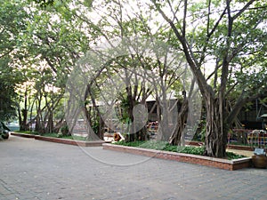 Beautiful park grounds consists of large trees and children`s play equipment