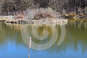 Beautiful park lake with trees reflected in cthe crystaline water