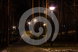 Beautiful park at night with a lantern and bridge. Background.