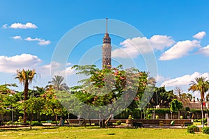 Beautiful park with palms and view of the TV Tower of Cairo, Egypt