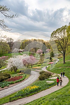 Paths in spring park with fresh greenery