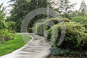 Beautiful park with pathway spring rainy day