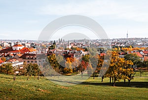 Beautiful park in Prague (Large Strahov garden) with colorful yellow-orange trees