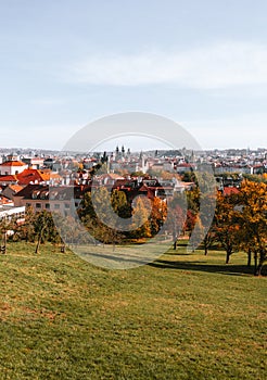 Beautiful park in Prague (Large Strahov garden) with colorful yellow-orange trees