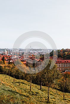 Beautiful park in Prague (Large Strahov garden) with colorful yellow-orange trees and amazing view of city