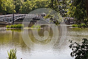 Beautiful park scene with lawn, trees and water