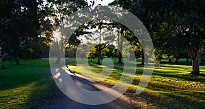 Beautiful park in Sydney.