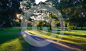 Beautiful park in Sydney.