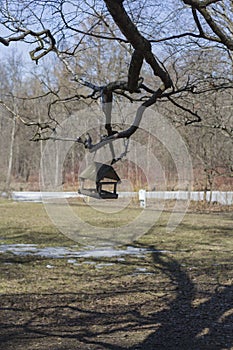 beautiful park texture and a weighing bird feeder