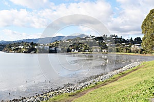 Beautiful Park View In Tiburon California Marin County