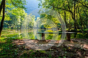 Beautiful park Vrelo Bosne