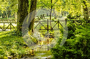 Beautiful park Vrelo Bosne in the Bosnia and Herzegovina