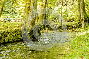 Beautiful park Vrelo Bosne in the Bosnia and Herzegovina