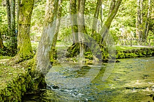 Beautiful park Vrelo Bosne in the Bosnia and Herzegovina