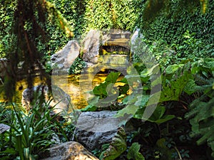 Beautiful park waterfall fountain buried in crawling plants