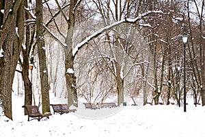 Beautiful park in winter after snowfall with trees, old street lamps and benches covered by snow